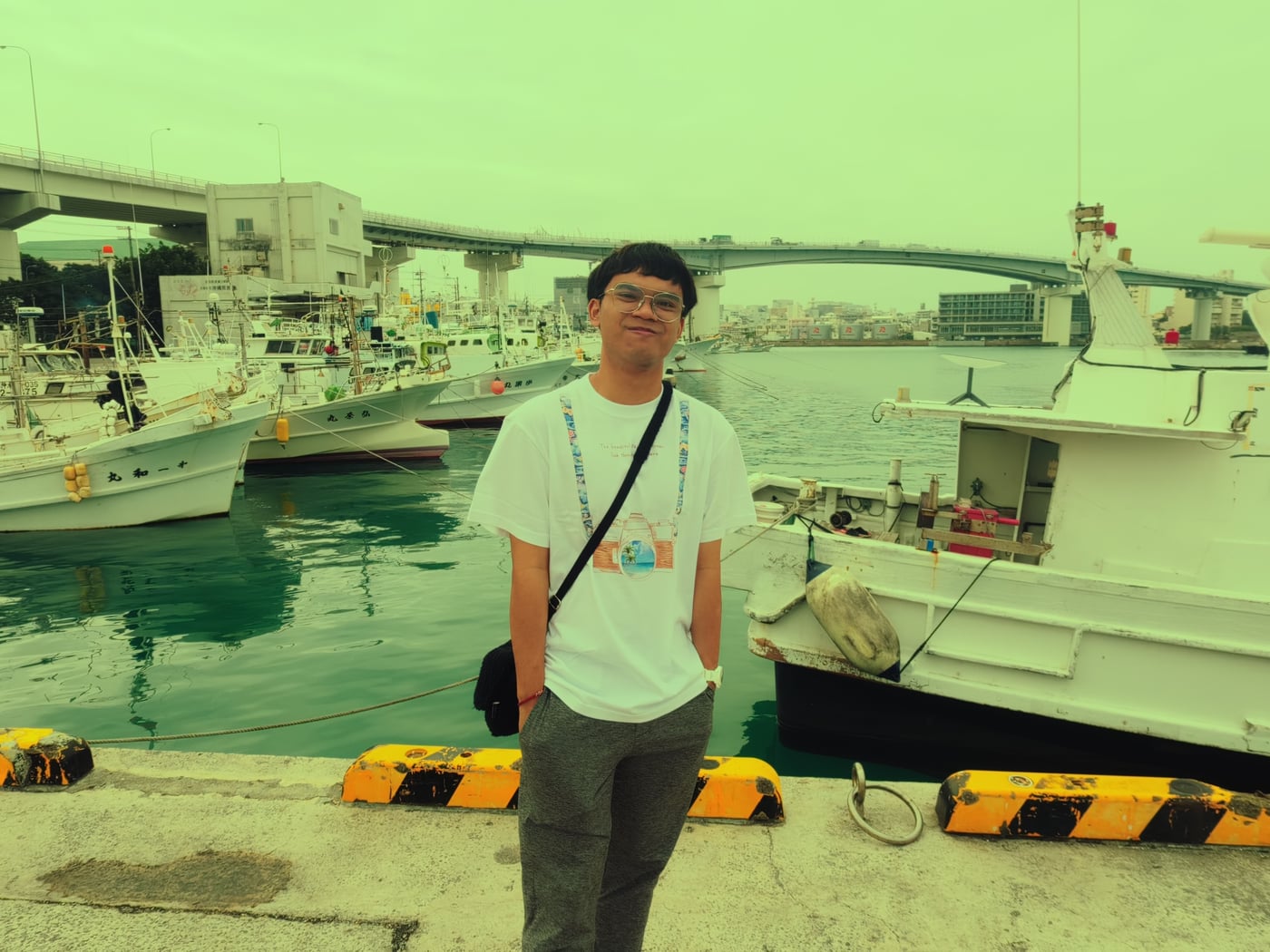 Palm at Okinawa fishing harbor with bridge in background.